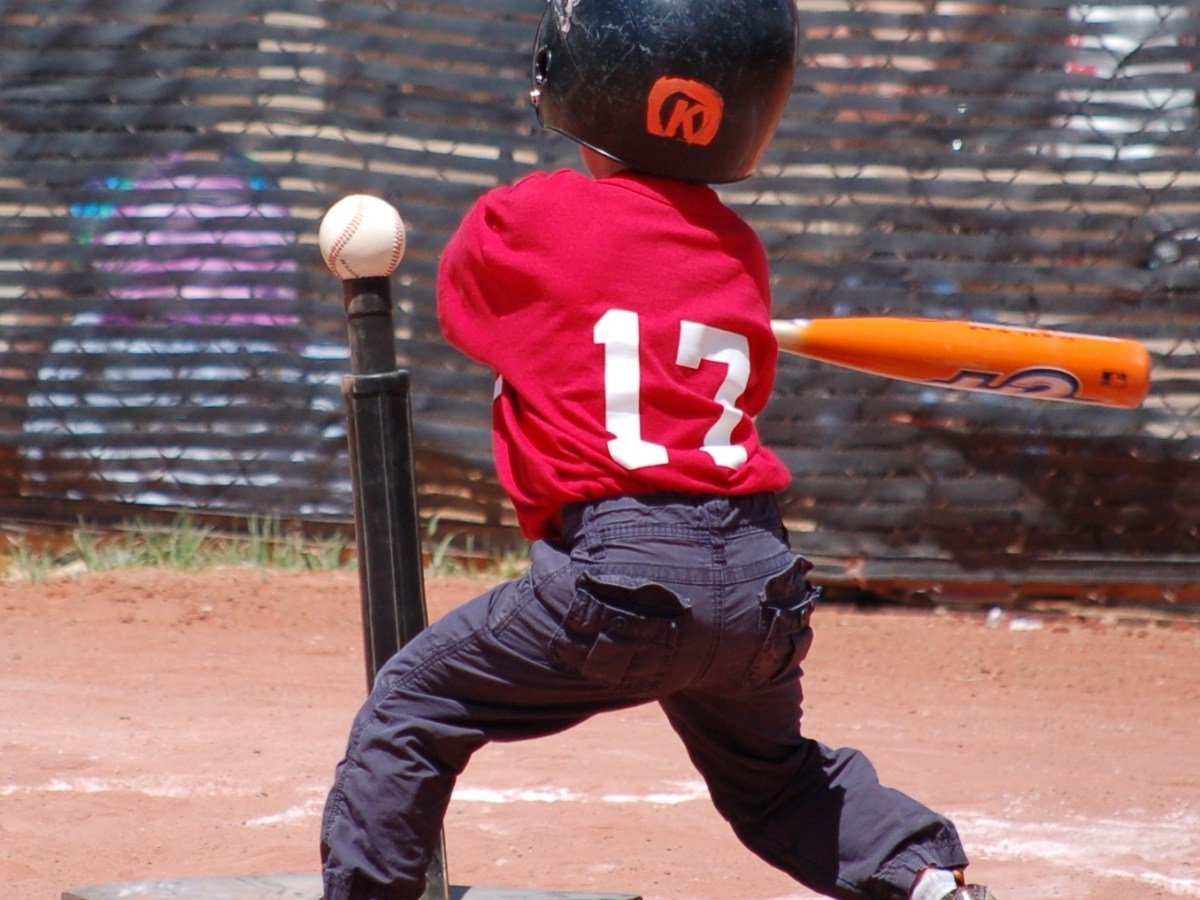 Something Terrible in the&nbsp;Park